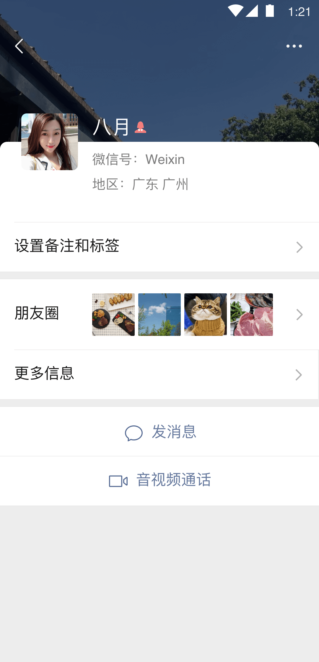 长腿昆虫像蜘蛛截图